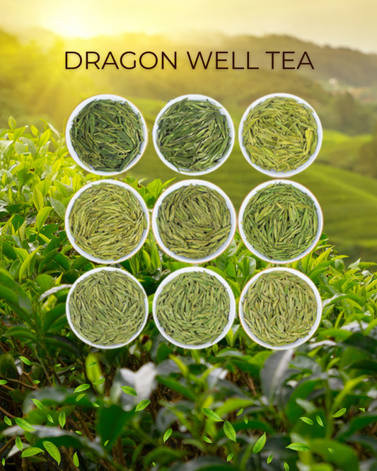 Dragon well green tea-Authentic Tea, plan land Longjing New Tea, Green Tea, New Tea Leaves in Bulk, Fragrant Tea for Self-Drinking